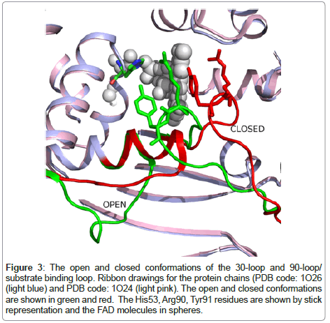 bioterrorism-biodefense-conformations