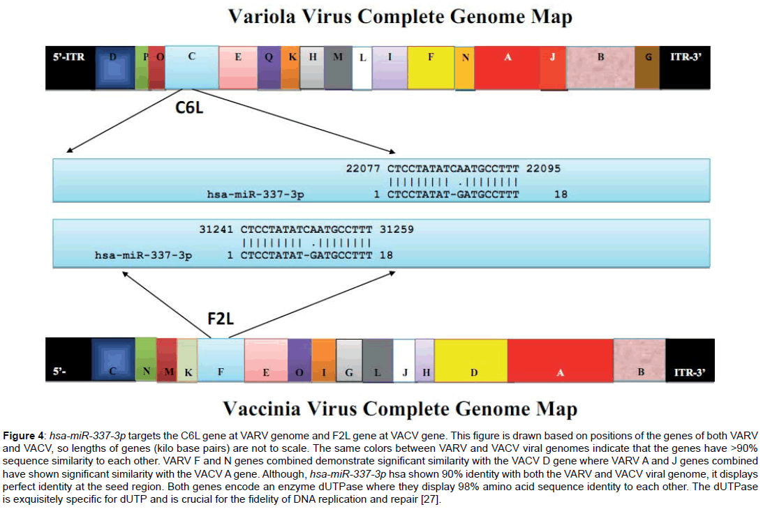 bioterrorism-biodefense-genome-demonstrate-enzyme