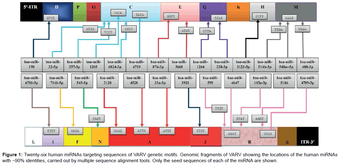 bioterrorism-biodefense-human-genetic-motifs