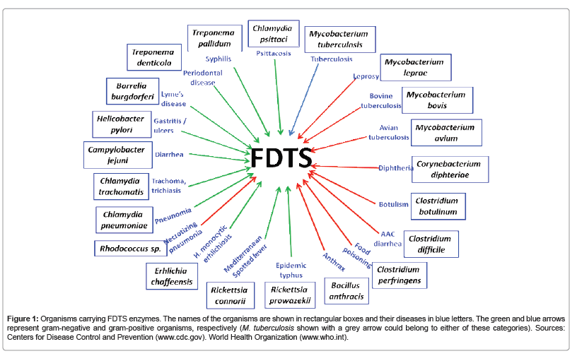 bioterrorism-biodefense-organisms