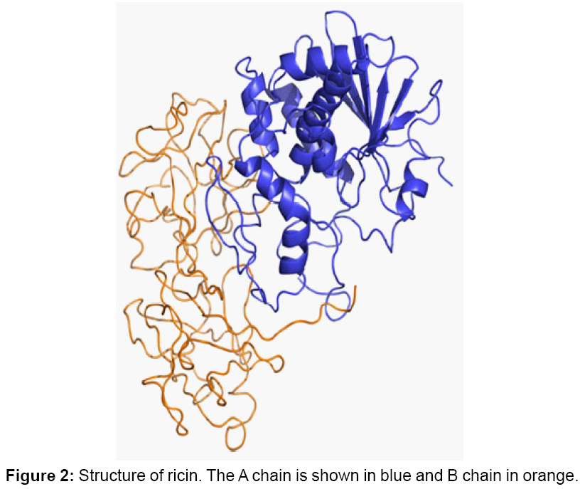 bioterrorism-biodefense-structure