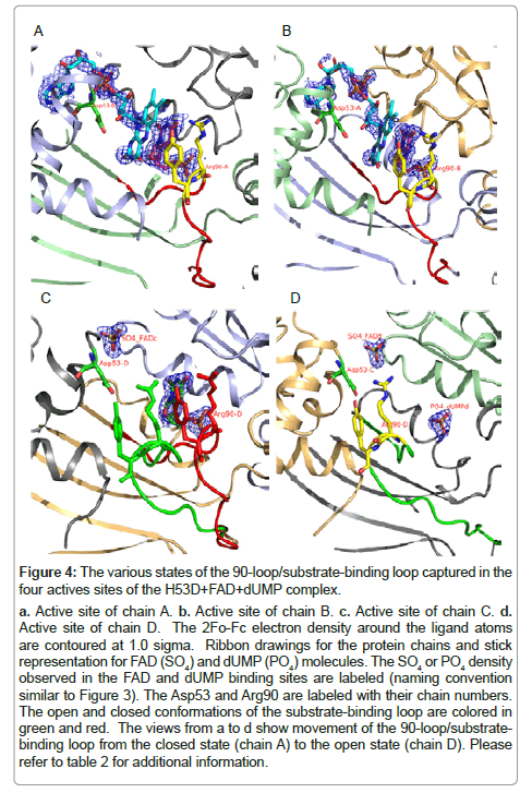 bioterrorism-biodefense-substrate