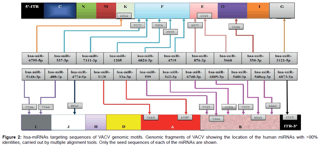 bioterrorism-biodefense-targeting-genomic-fragments