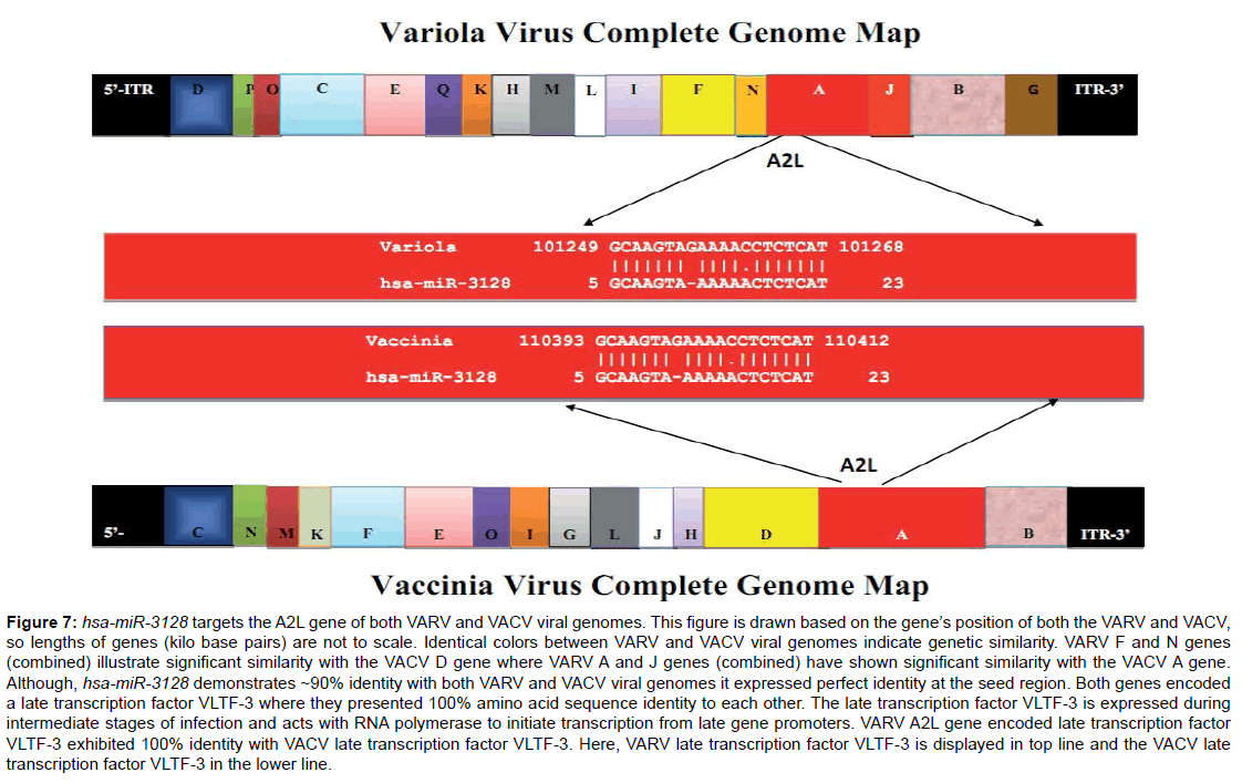 bioterrorism-biodefense-viral-genomes-transcription