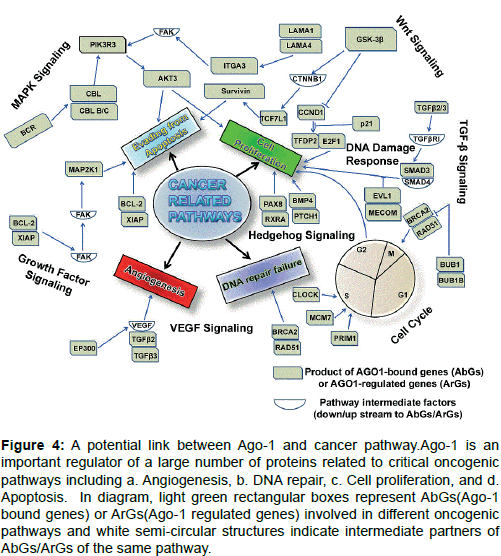 cancer-surgery-potential-link