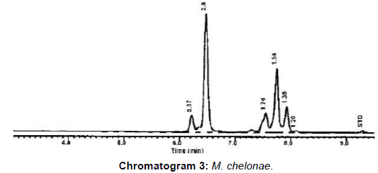 cellular-molecular-biology-chelonae