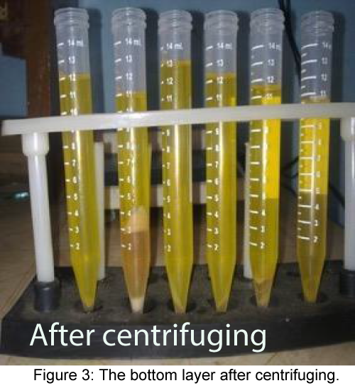 chemical-sciences-journal-bottom-layer