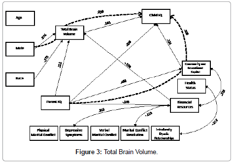 child-and-adolescent-behavior-brain-volume