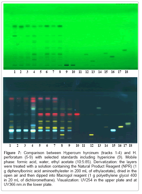 Phytochemical Techniques In Complex Botanicals The Xxi