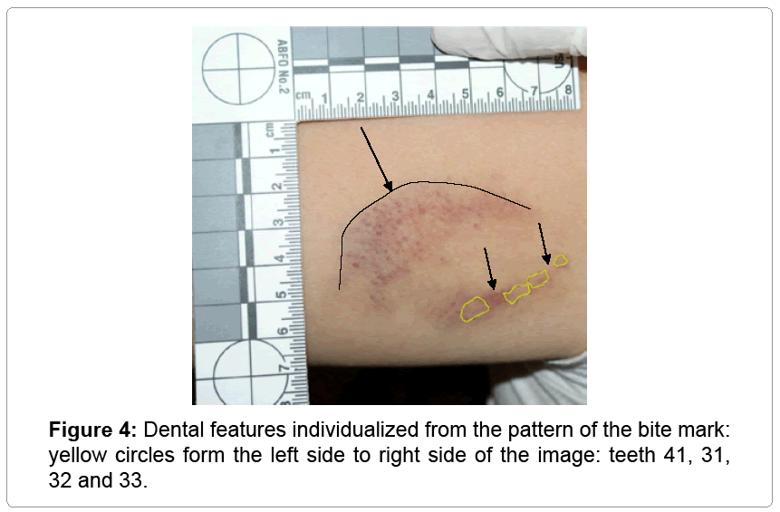 civil-legal-sciences-Dental-features