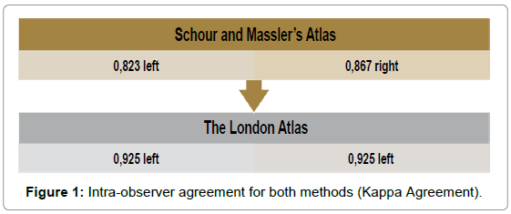 civil-legal-sciences-Intra-observer-agreement-methods