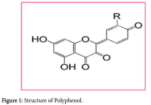 Polyphenol Structure