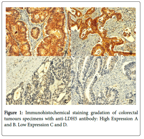 clinical-experimental-pathology-staining-gradation