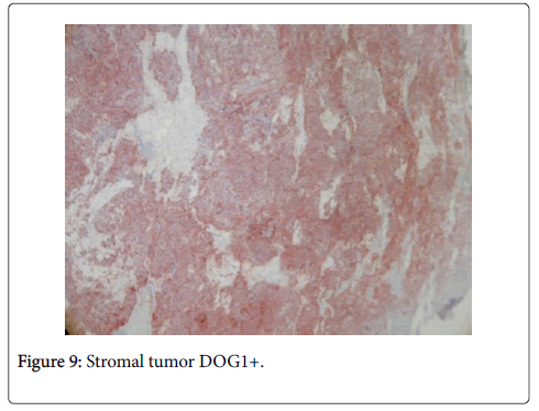 clinical-experimental-pathology-tumor-DOG