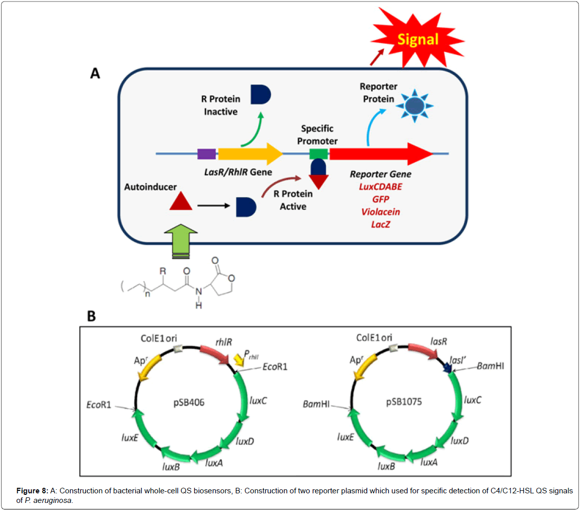 Clinical-microbiology-bacterial-signals