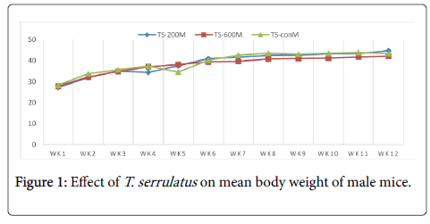 clinical-pathology-body-weight