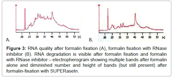 clinical-pathology-formalin-fixation