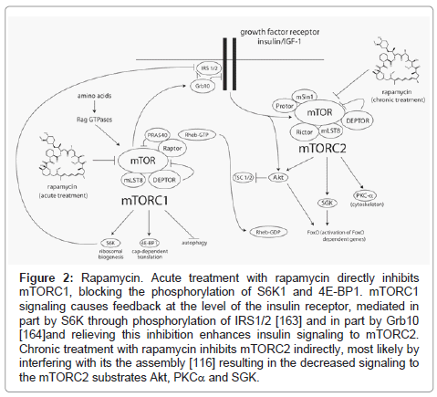 clinical-pathology-phosphorylation