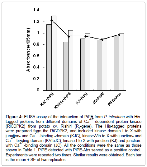 clinical-pathology-protein-kinase