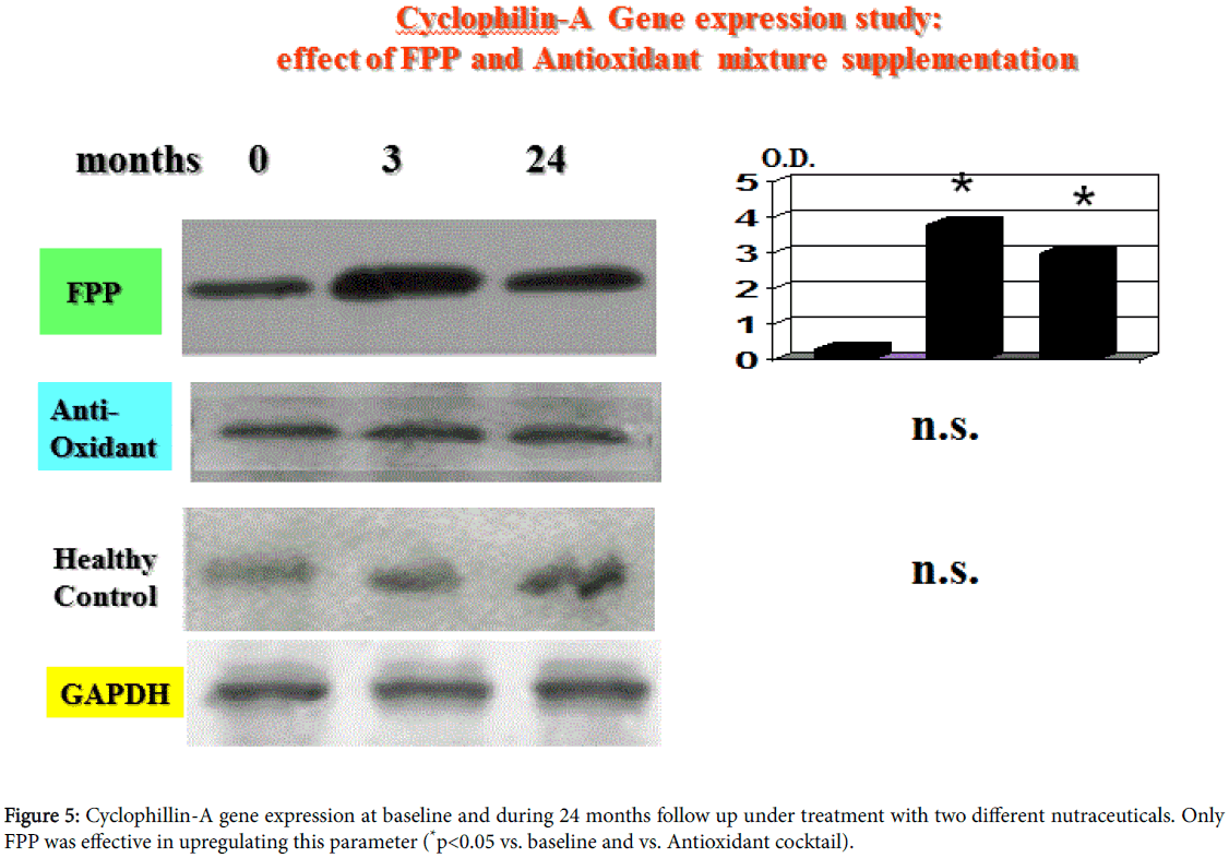 clinical-pharmacology-biopharmaceutics-Cyclophillin-A-gene-expression