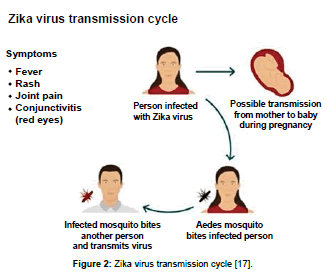 clinical-pharmacology-biopharmaceutics-Zikavirus-transmission-cycle