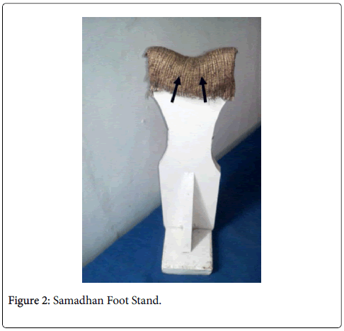 clinical-research-foot-ankle-Foot-stand