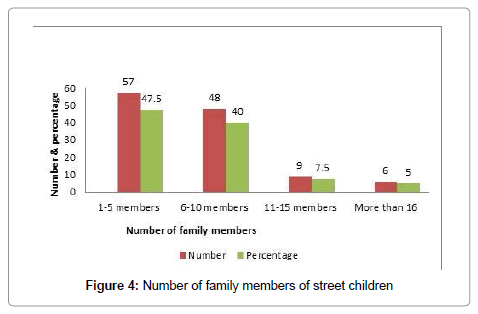 community-medicine-family-members