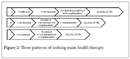 community-public-health-nursing-seeking-main-health-therapy