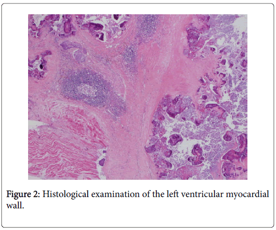 Cytology-histology-histological-examination