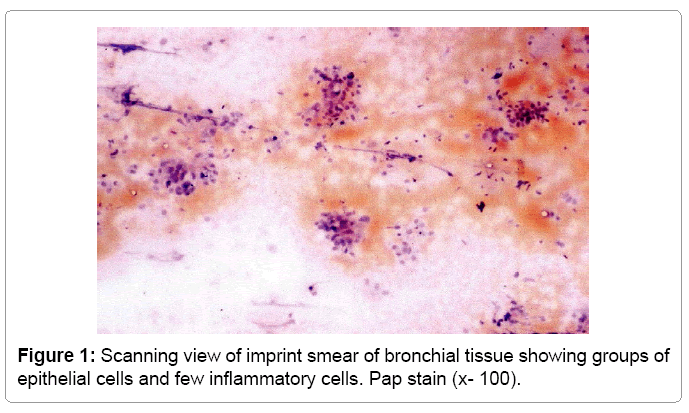 cytology-histology-imprint-smear