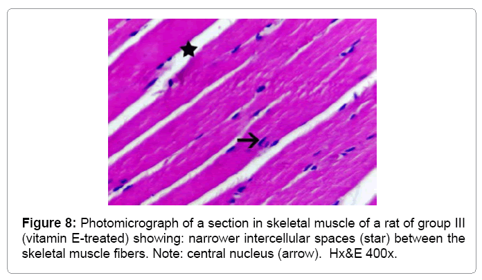 cytology-histology-vitamin-E-treated