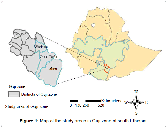 earth-science-Map-Guji-Ethiopia