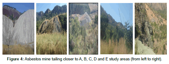 earth-science-climatic-change-Asbestos-mine-tailing