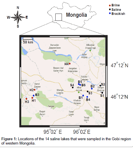 earth-science-climatic-change-Gobi-region-western