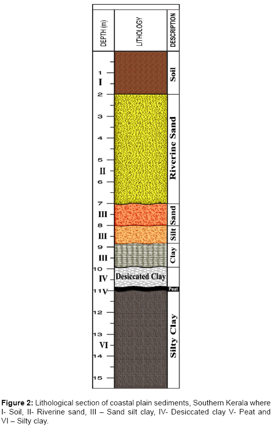 earth-science-climatic-change-Lithological-section-coastal-plain-sediments