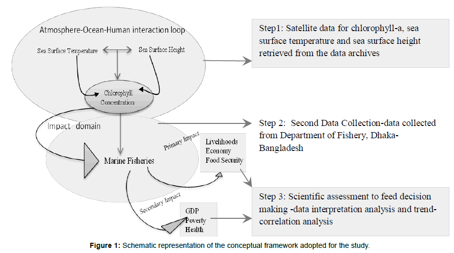 earth-science-climatic-change-conceptual-framework-adopted