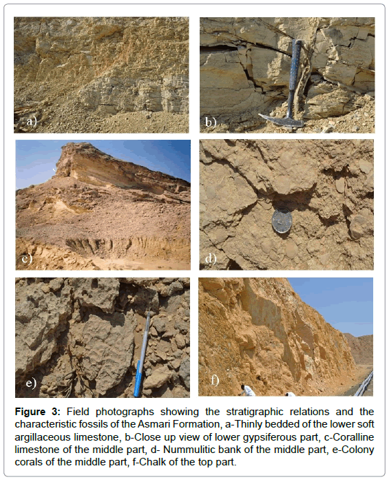 earth-science-climatic-change-field-photographs