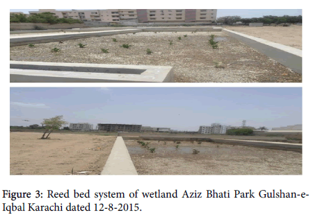 earth-science-climatic-change-wetland-Aziz-Bhati