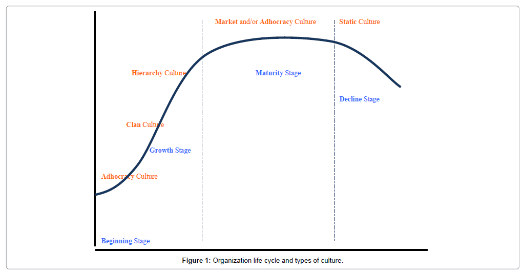 Aldi organisational life cycle