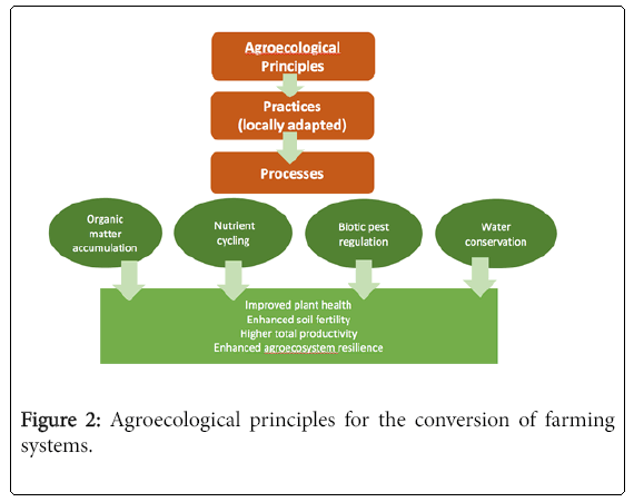 ecosystem-ecography-Agroecological-principles