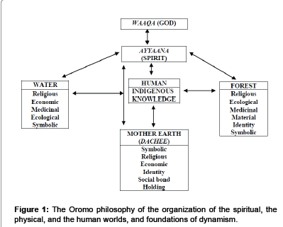 ecosystem-ecography-Oromo-philosophy