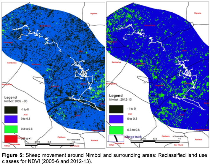 ecosystem-ecography-Sheep-movement