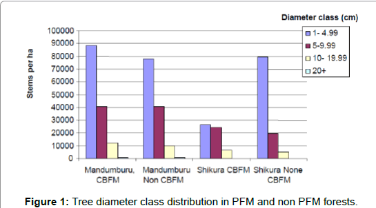 ecosystem-ecography-Tree-diameter-class