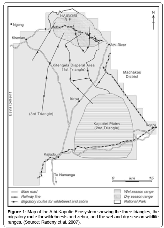 ecosystem-ecography-athi-kaputie-ecosystem