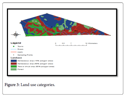 ecosystem-ecography-categories