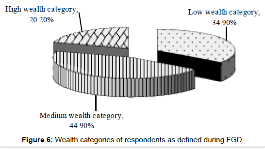 ecosystem-ecography-categories-of-respondents