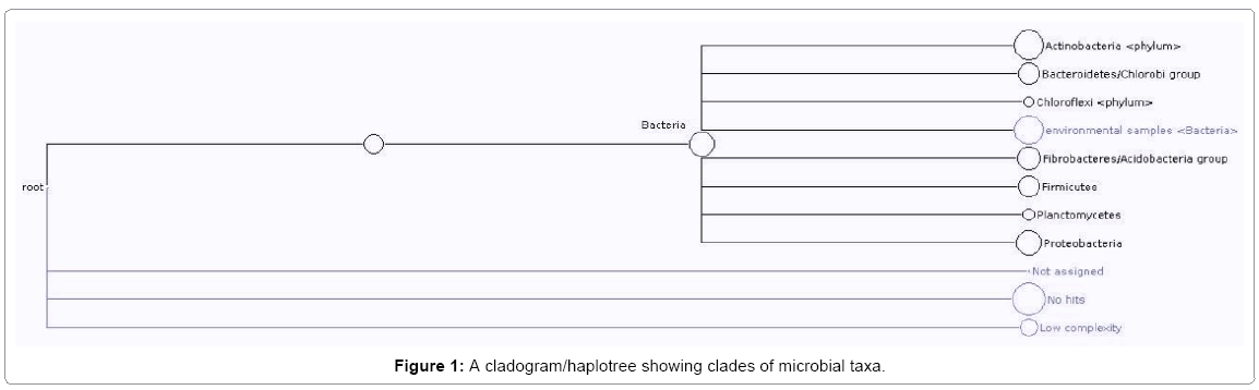 ecosystem-ecography-cladogram-haplotree