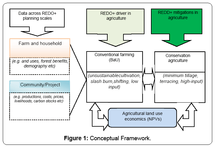 ecosystem-ecography-conceptual-framework