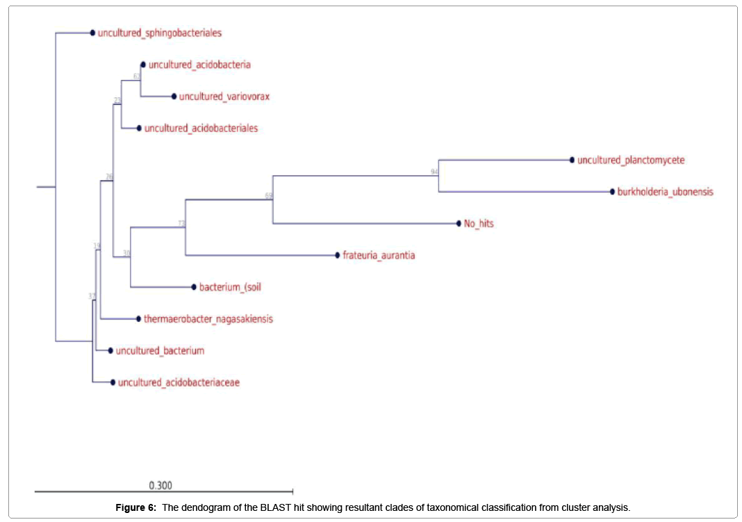 ecosystem-ecography-dendogram-blast-hit