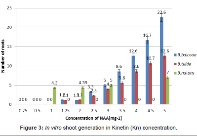 ecosystem-ecography-generation-in-Kinetin